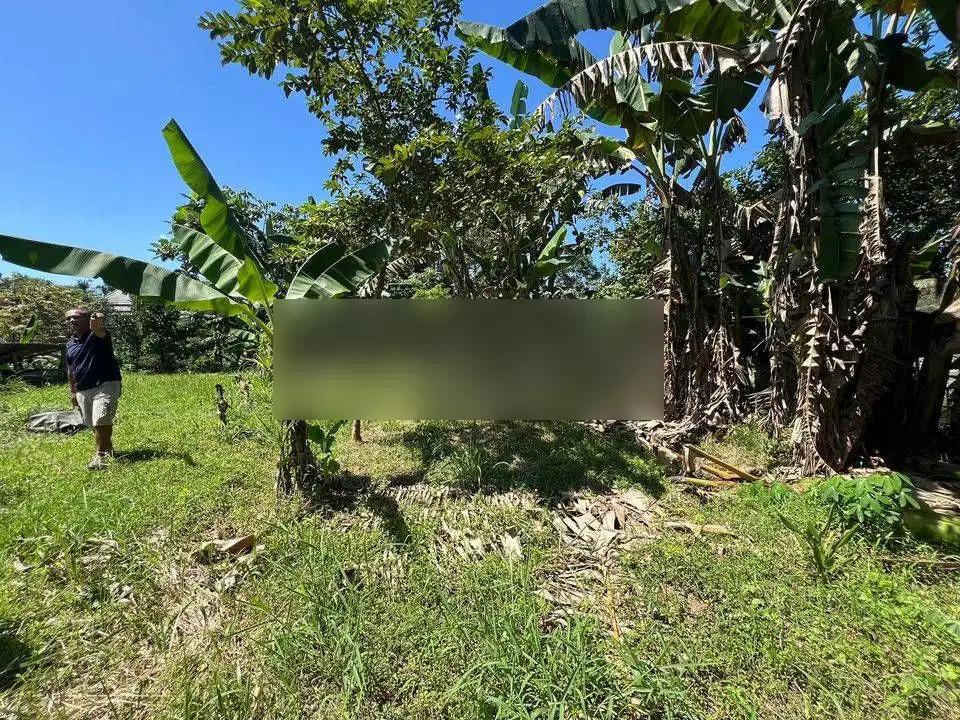 Dijual Cepat Tanah Strategis Di Dekat Kampus IPB Dramaga