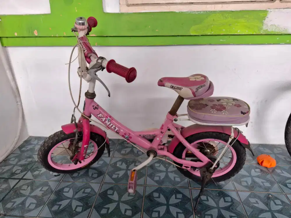 Sepeda Anak FAMILY 12 inch