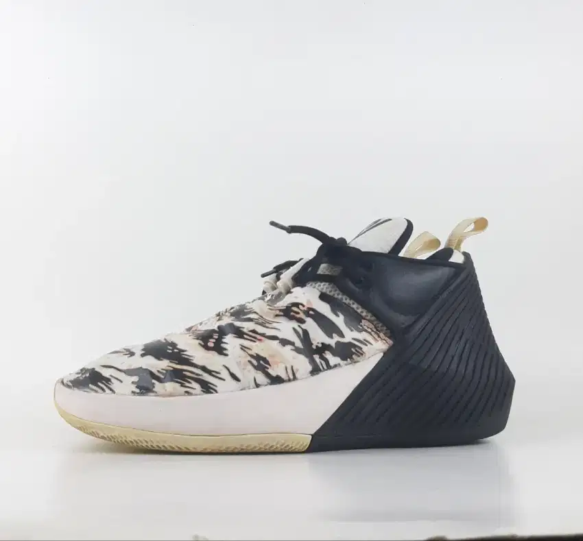 JORDAN WHY NOT ZERO 1 LOW