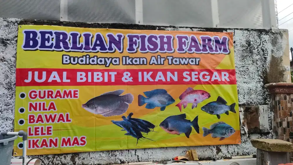 Karyawan Toko Ikan