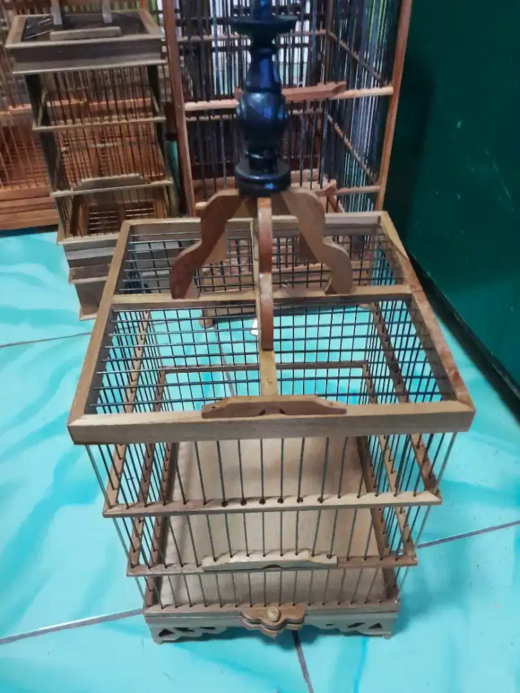 Kandang replika cungkok pleci baru