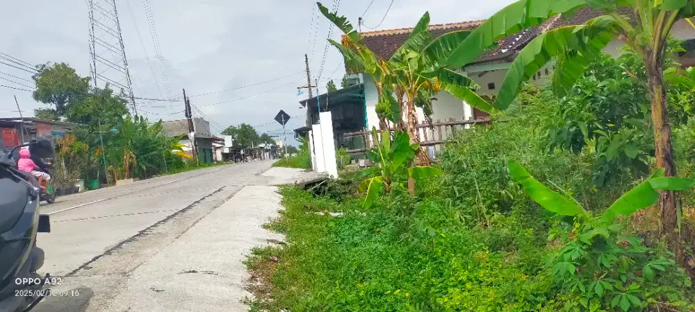 Jual tanah pinngir jln raya watuburik lt 1700m hrg 2,5jt/m mego