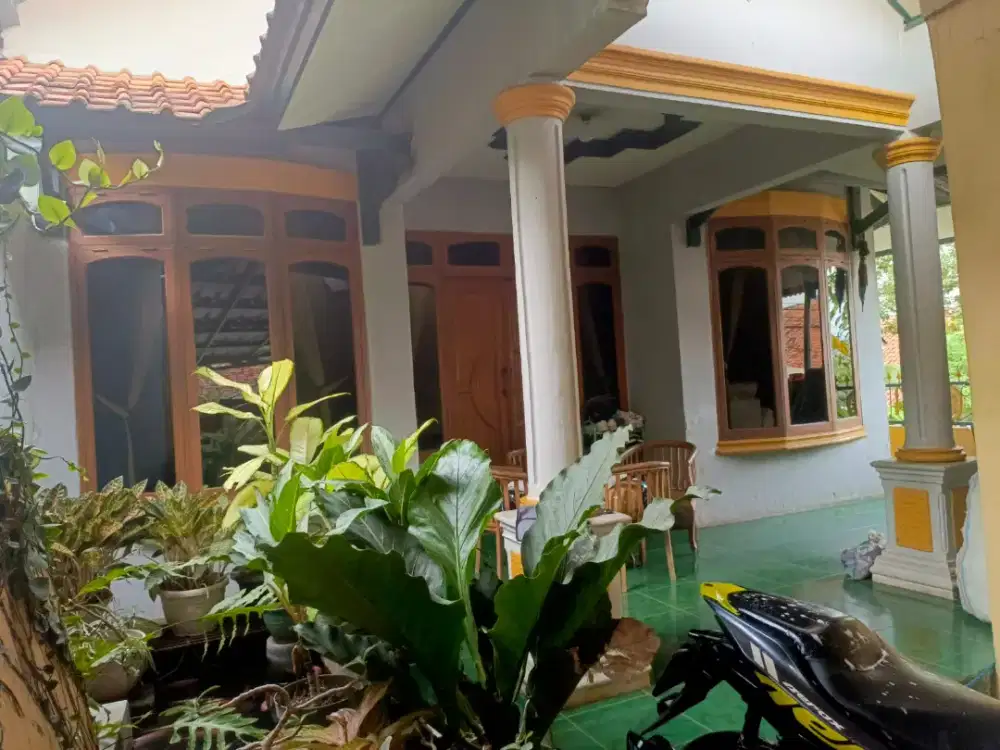 Jual Rumah Cepat Nego