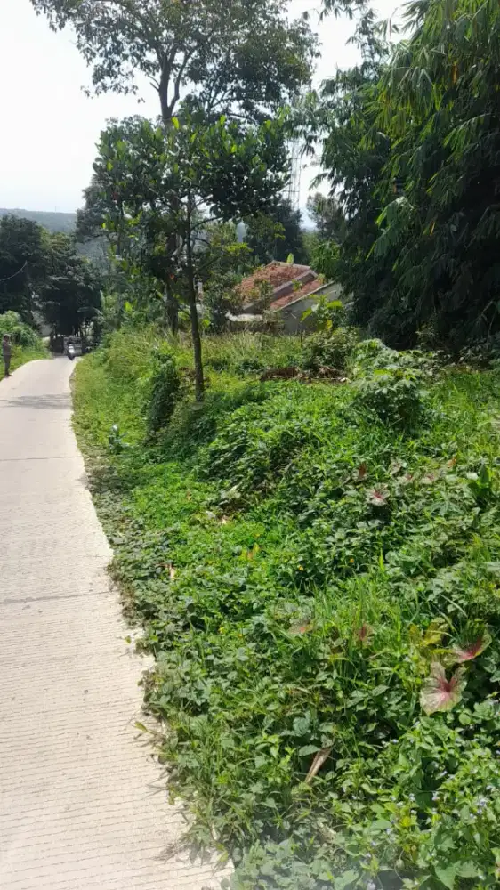 Di jual lhan tanah darat lt 4000 mtr pinggir jln cor lokasi datar