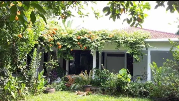 Dijual Runah Mewah Di Kemang Jakarta Selatan