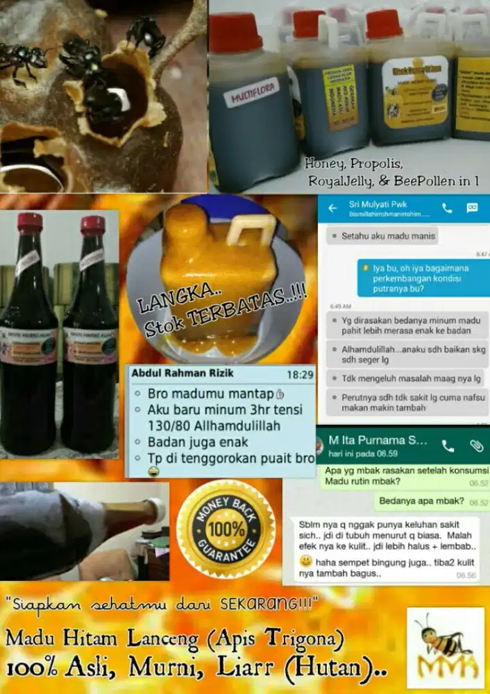 MADU MMA (MADU MURNI ALAMI) 100% ASLI HUTAN LIAR EX JAWA