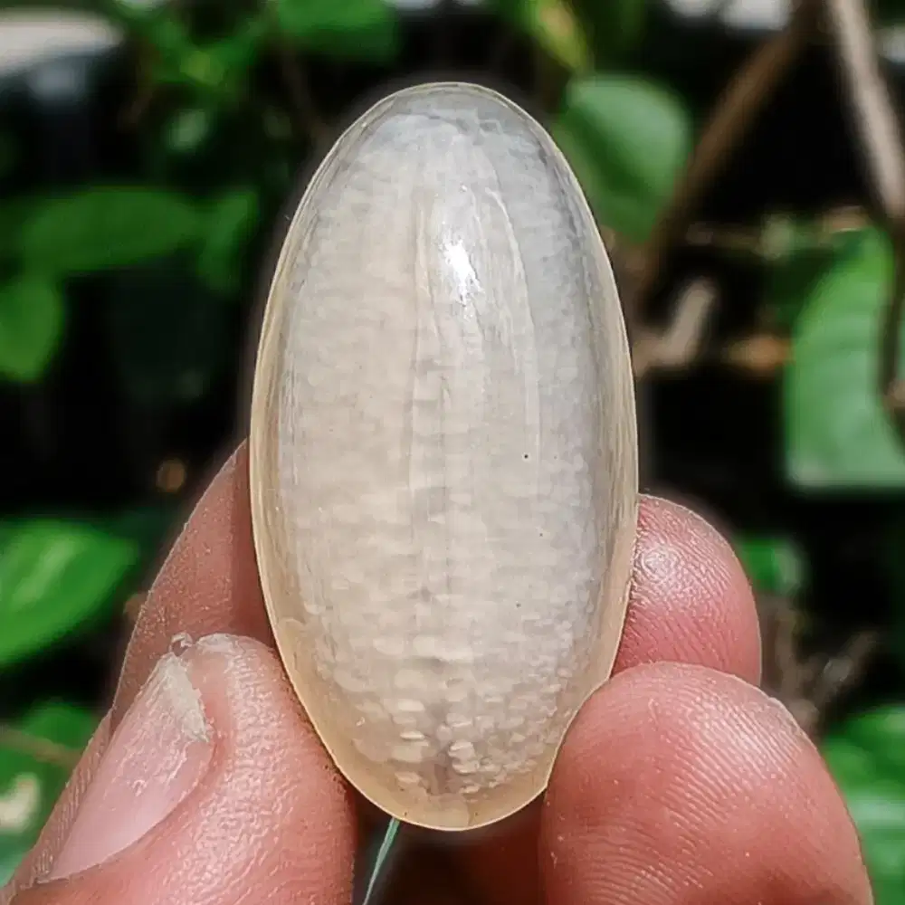 ASLI BATU PANDAN KAPAS KRISTAL 4cm COD HANYA NEROKTOG