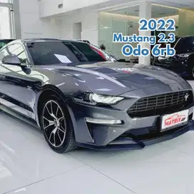 Ford Mustang 2.3 Facelift Performance 2022 NIK 2021 Grey EcoBoost