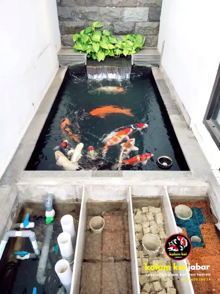 Pembuatan kolam koi