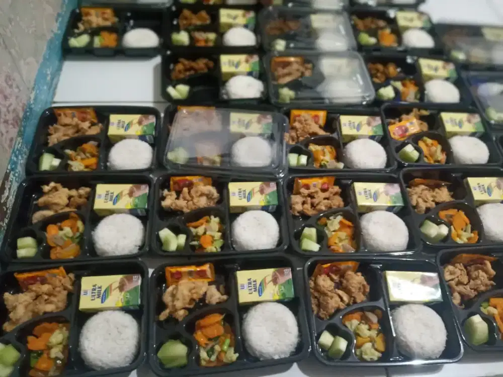 Paket Nasi Box dan Rice Bowl