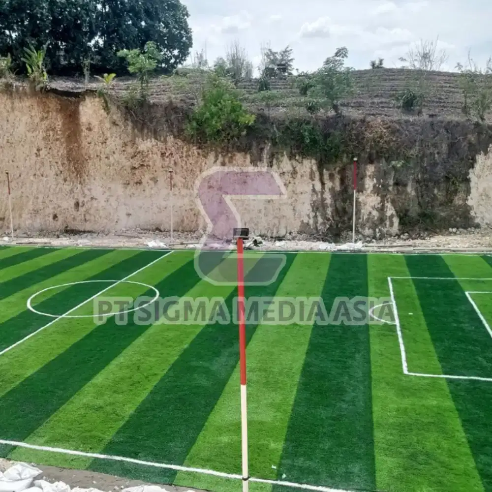 Jual Sport Grass Mini Soccer Futsal