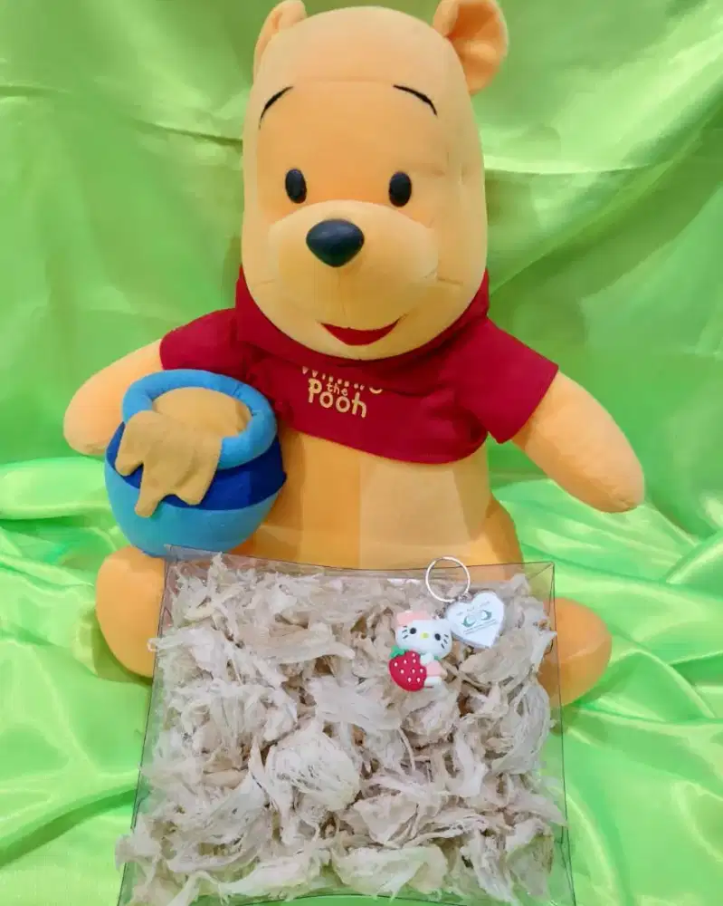 SARANG BURUNG WALET PATAHAN KAKI LUAR PULAU