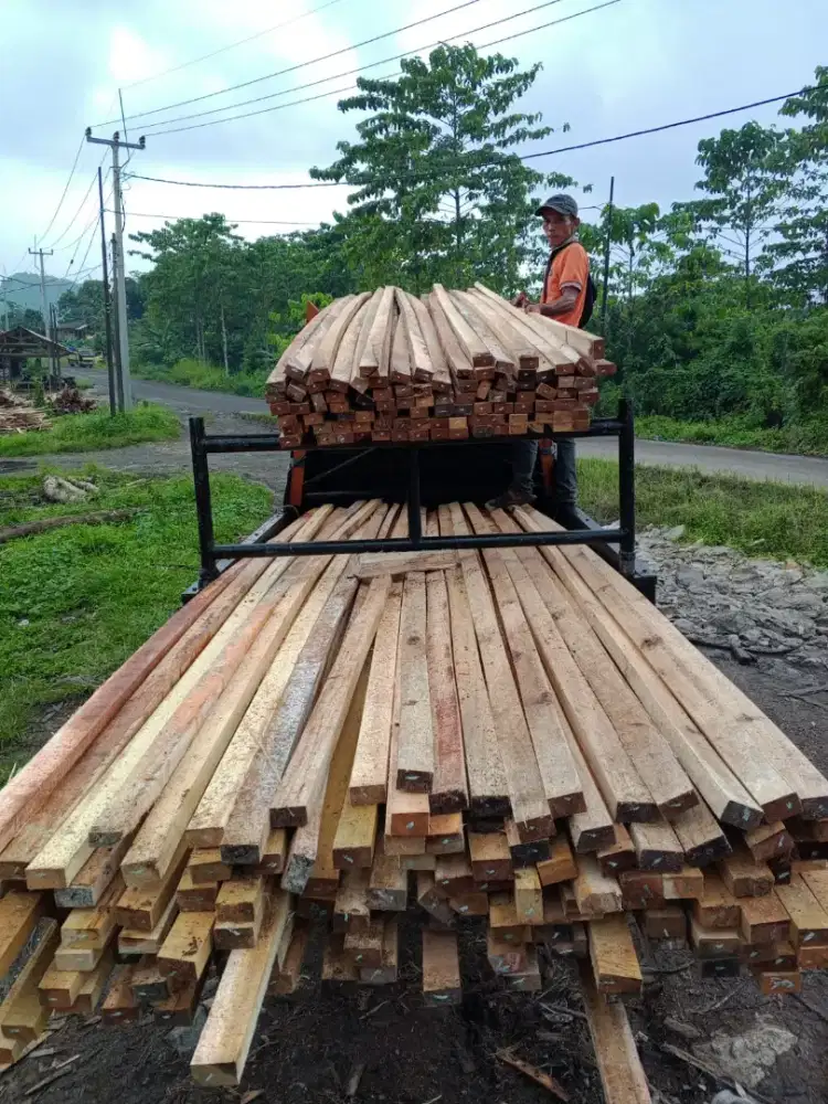 Kayu kaso lepasan pk 4/6x4m