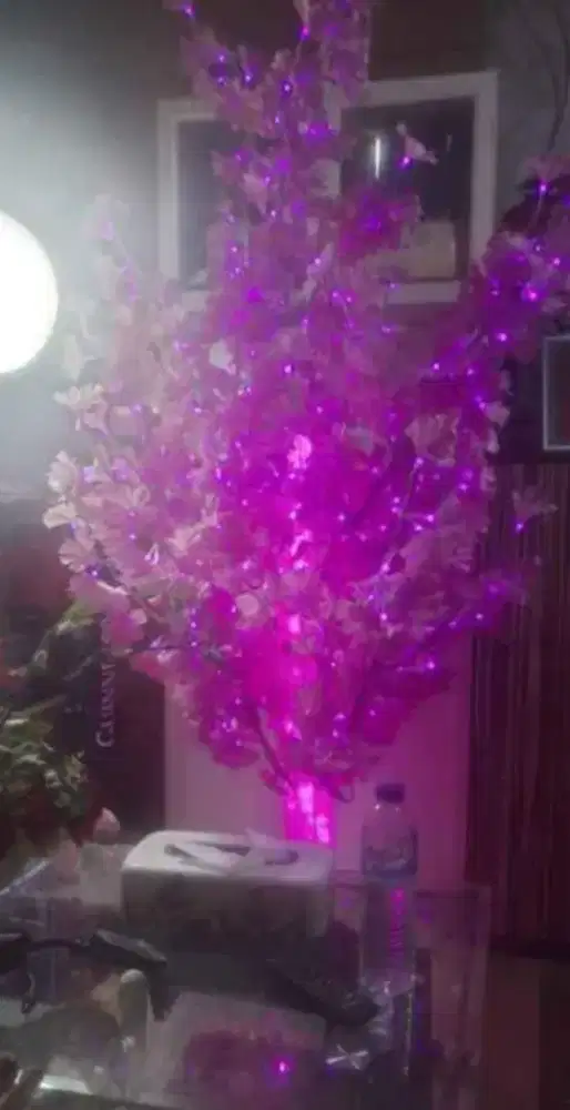 Pohon bunga berlampu