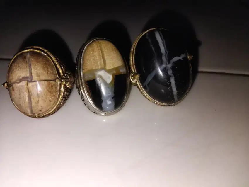 Barang langka tapak jalak yin yang natural asli fosil kayu
