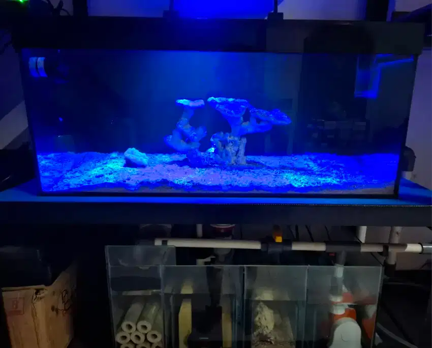 Aquarium laut. Ud lengkap semua