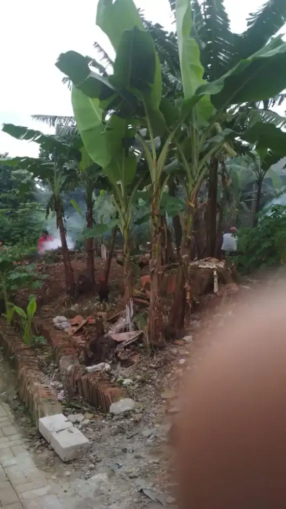Dijual tanah lokasi setrategis dekat jalan raya