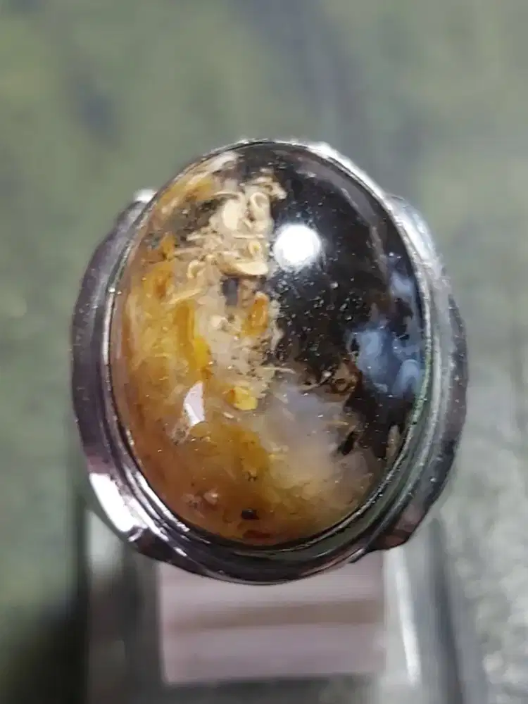 Fosil Bambu Kristal
- Ring Monel 8