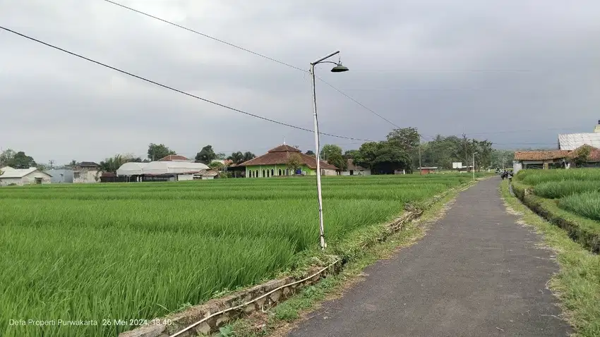 TANAH DATAR  SAWAH VIEW GUNUNG  PINGGIR JALAN RAYA