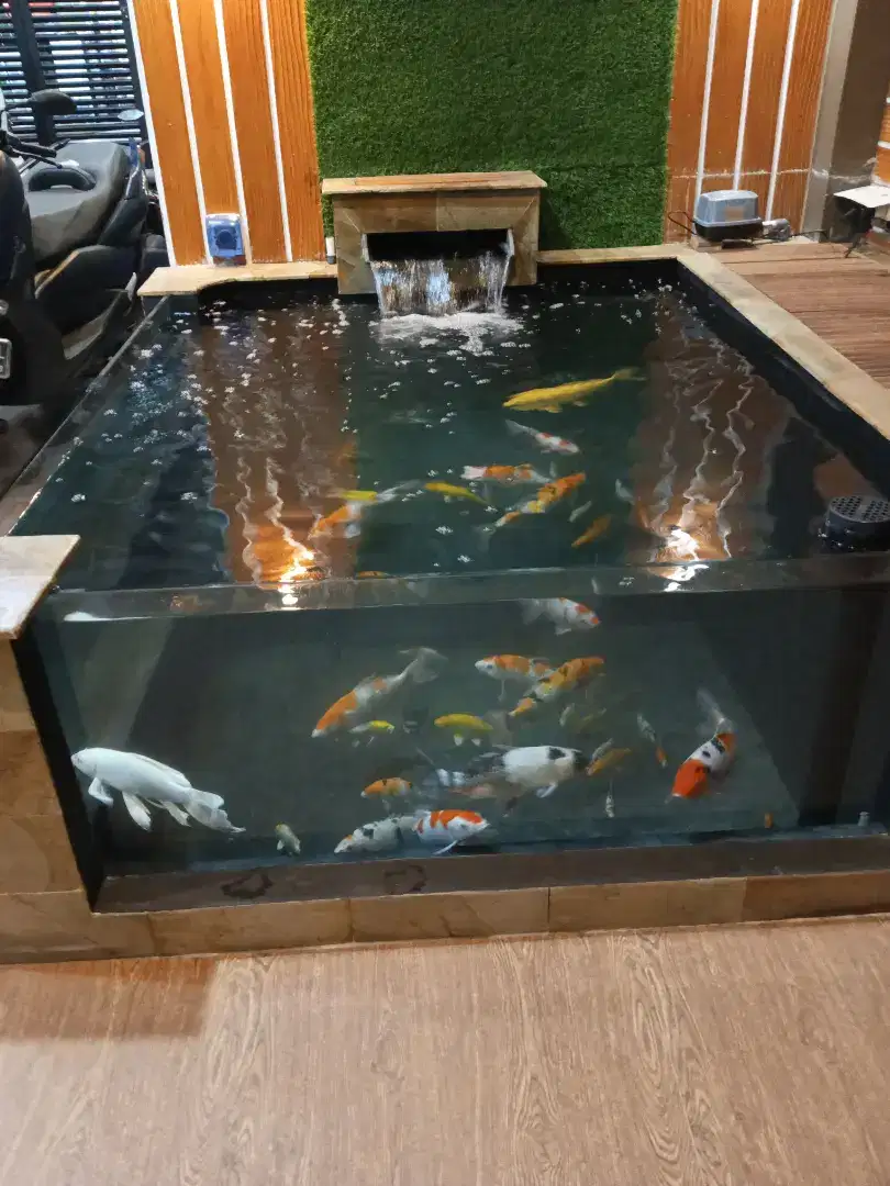 Jasa pembuatan kolam murah