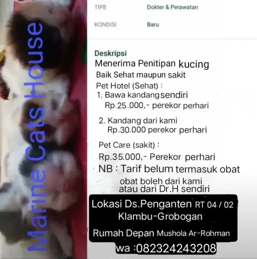 Penitipan Kucing