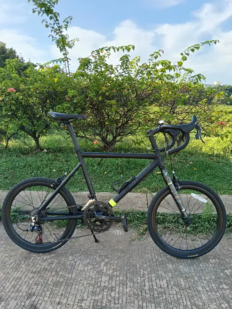 Minivelo Tern Cresh Full upgrade