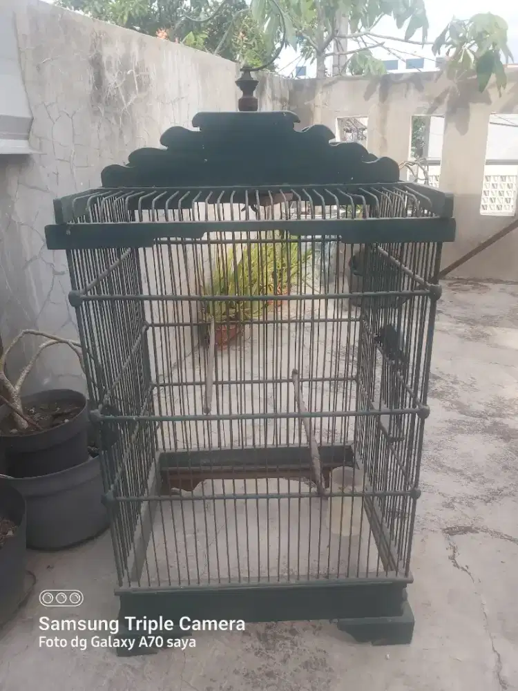 Sangkar kotak bekas