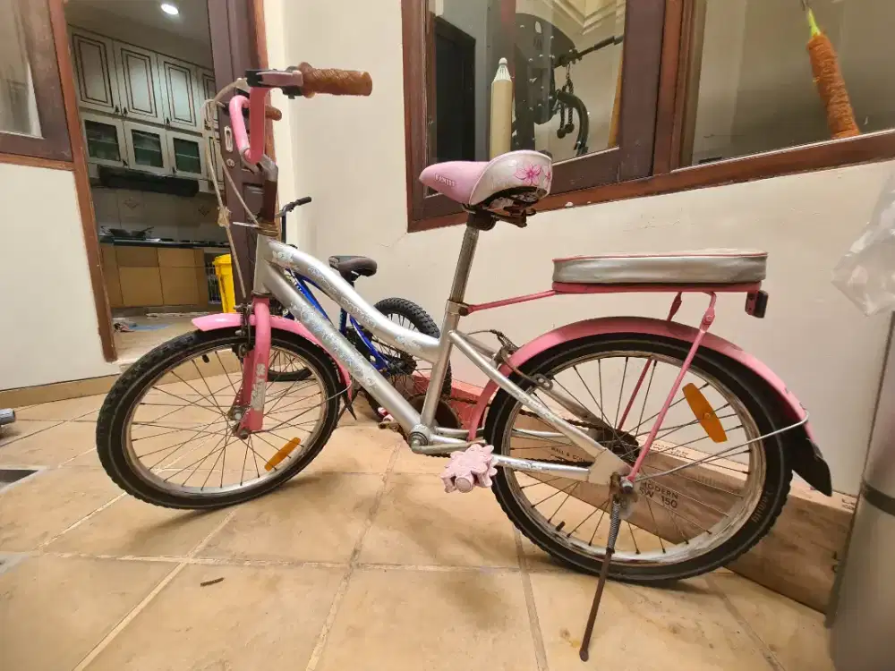 Sepeda Anak merk Family ukuran 20 inch bekas