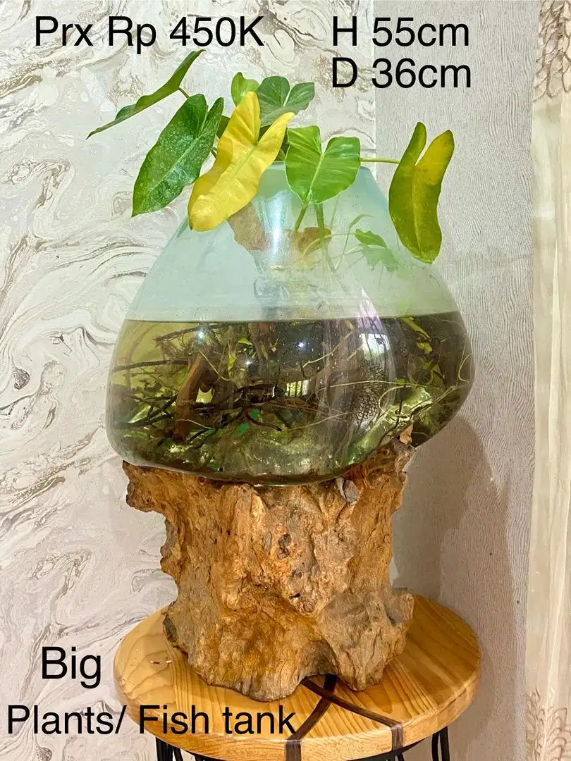 Dijual Dekorasi Kaca tiup & akar pohon asli Bali