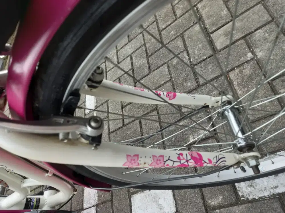 Sepeda Bekas Seperti BARU