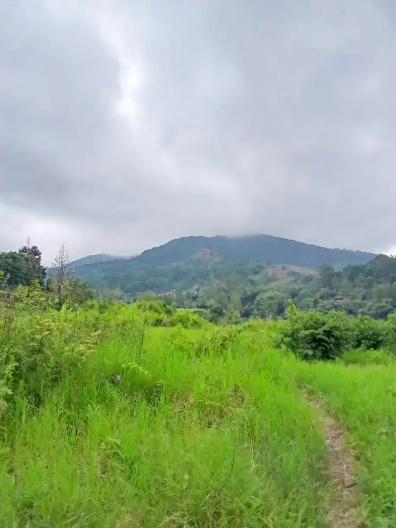 Dijual tanah datar siap bangun dengan view pegunungan di puncak