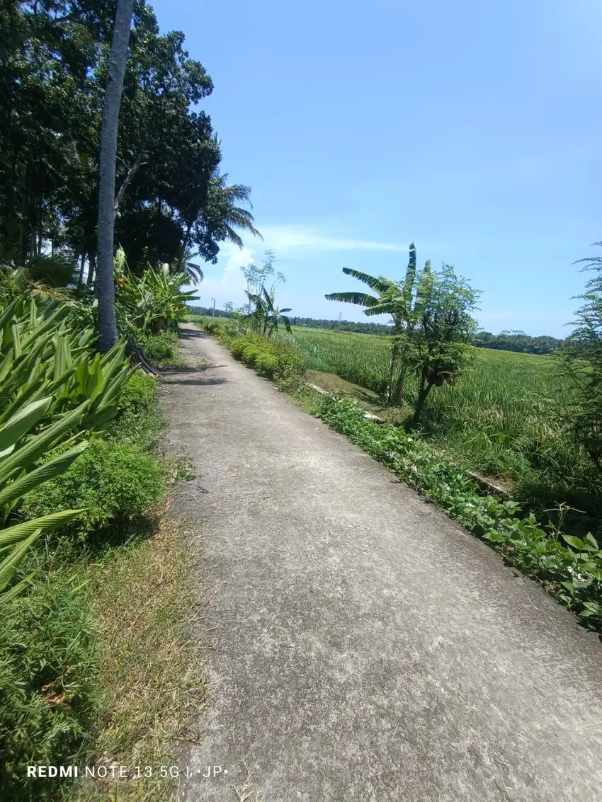 Tanah Pekarangan View Sawah dekat YIA