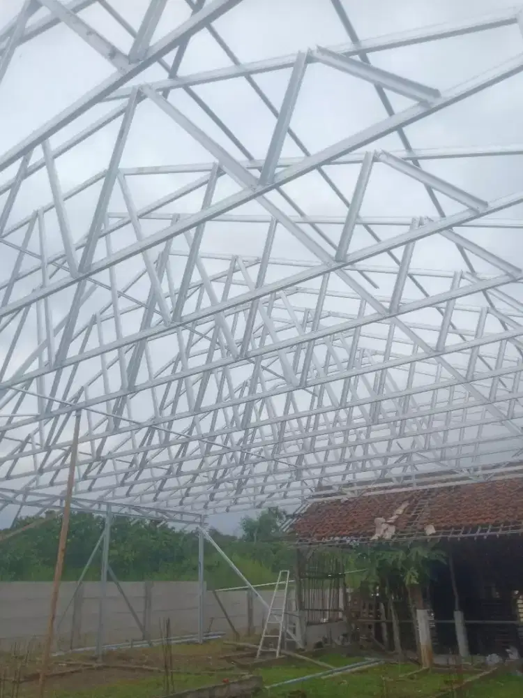 Roni kanopi galpalum