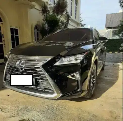 LEXUS RX300 Luxury 4x2 AT 2018 RX 300