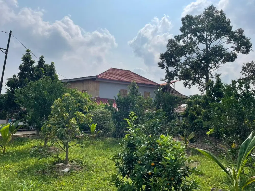 Tanah kebun dan peternakan