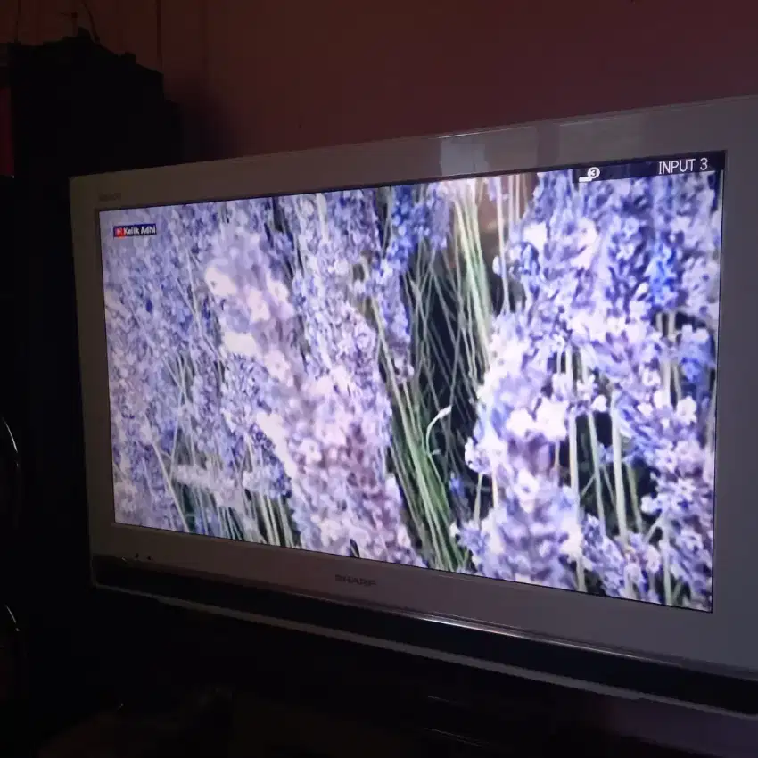 Jual tv sharp AQUOS 32 in sudah google tv
