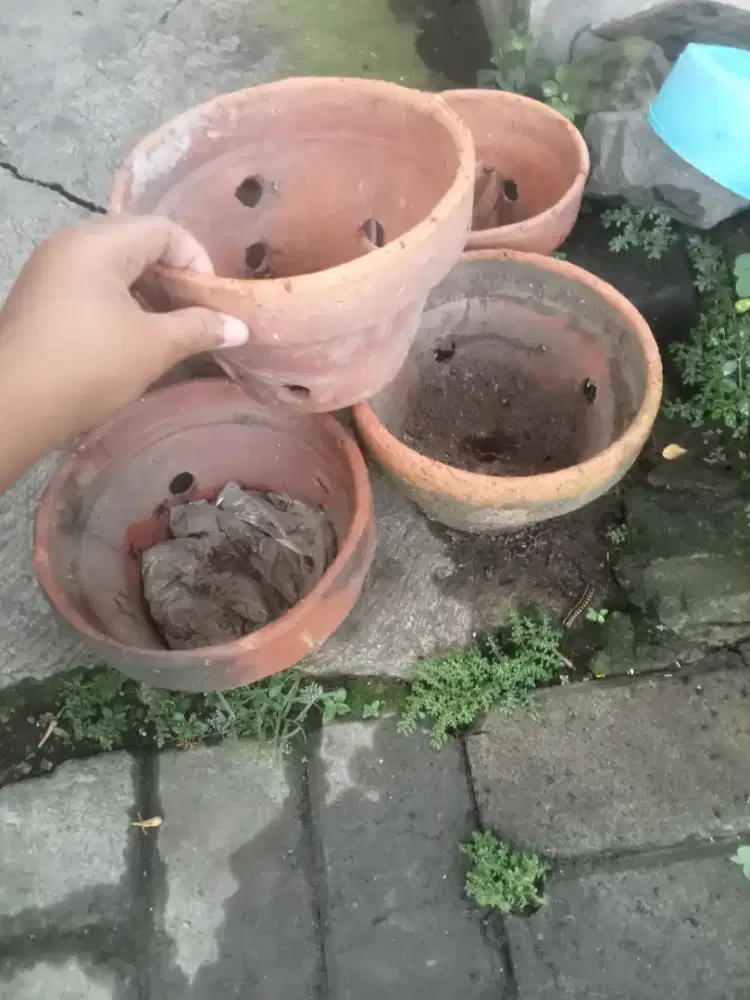 Pot tanah anggrek 16cm ( 10 pot)