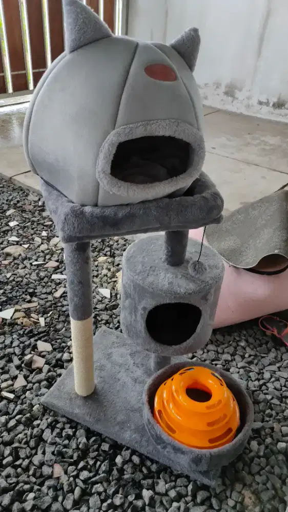 Aksesories/mainan kucing