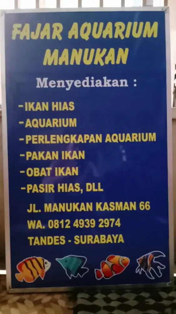 Jual perlengkapan aquarium dan aquarium ikan hias
