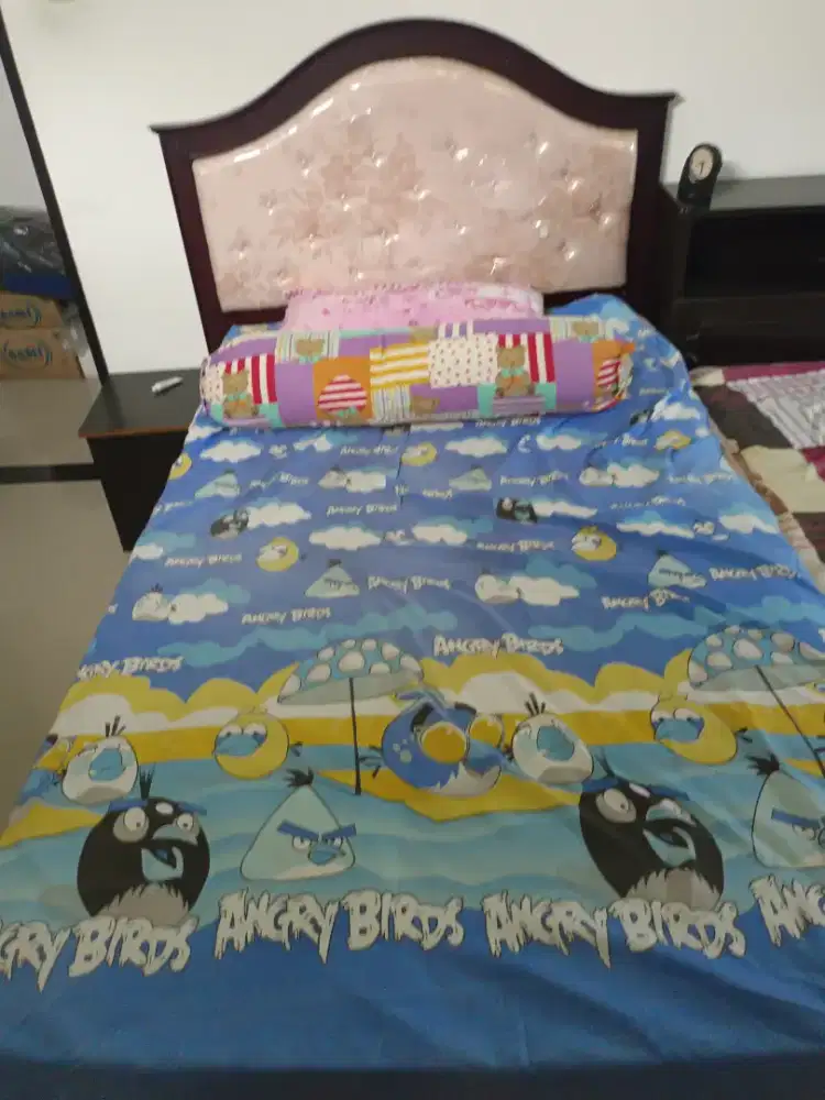 Kasur elite beli 1 dpt 2