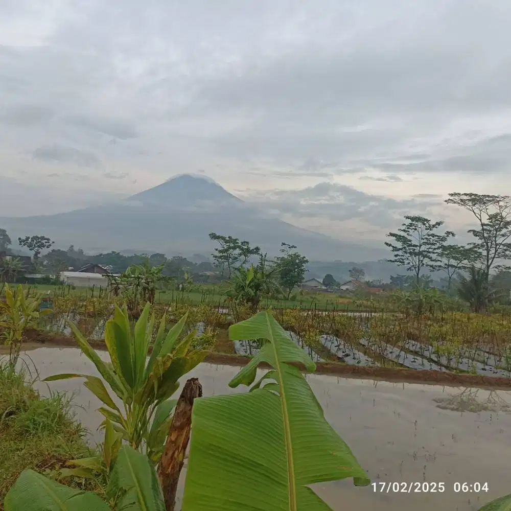 Tanah Sawah Strategis Temanggung Kota