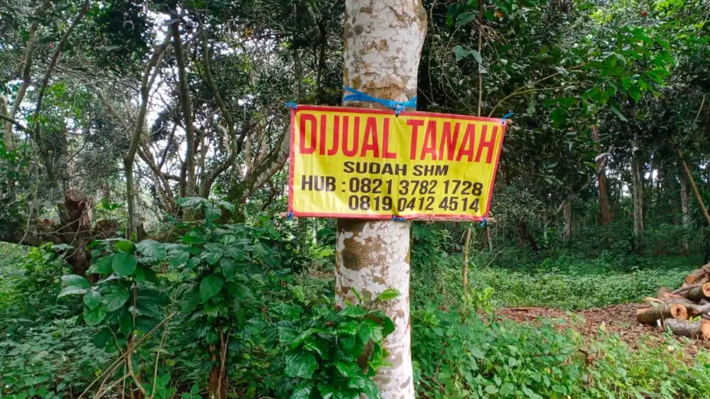 Dijual/Dikontrakan Tanah SHM di Subang! (Desa Marengmang Kab. Subang)