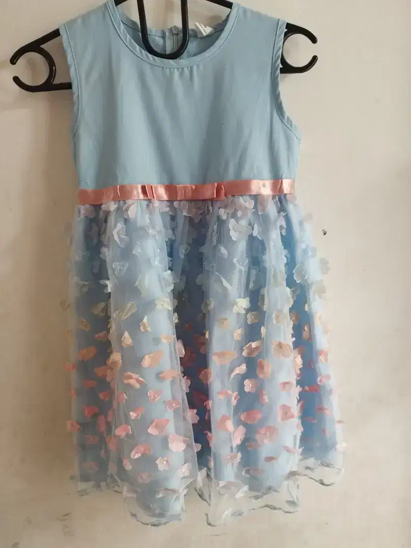 Dress tutu brand shein