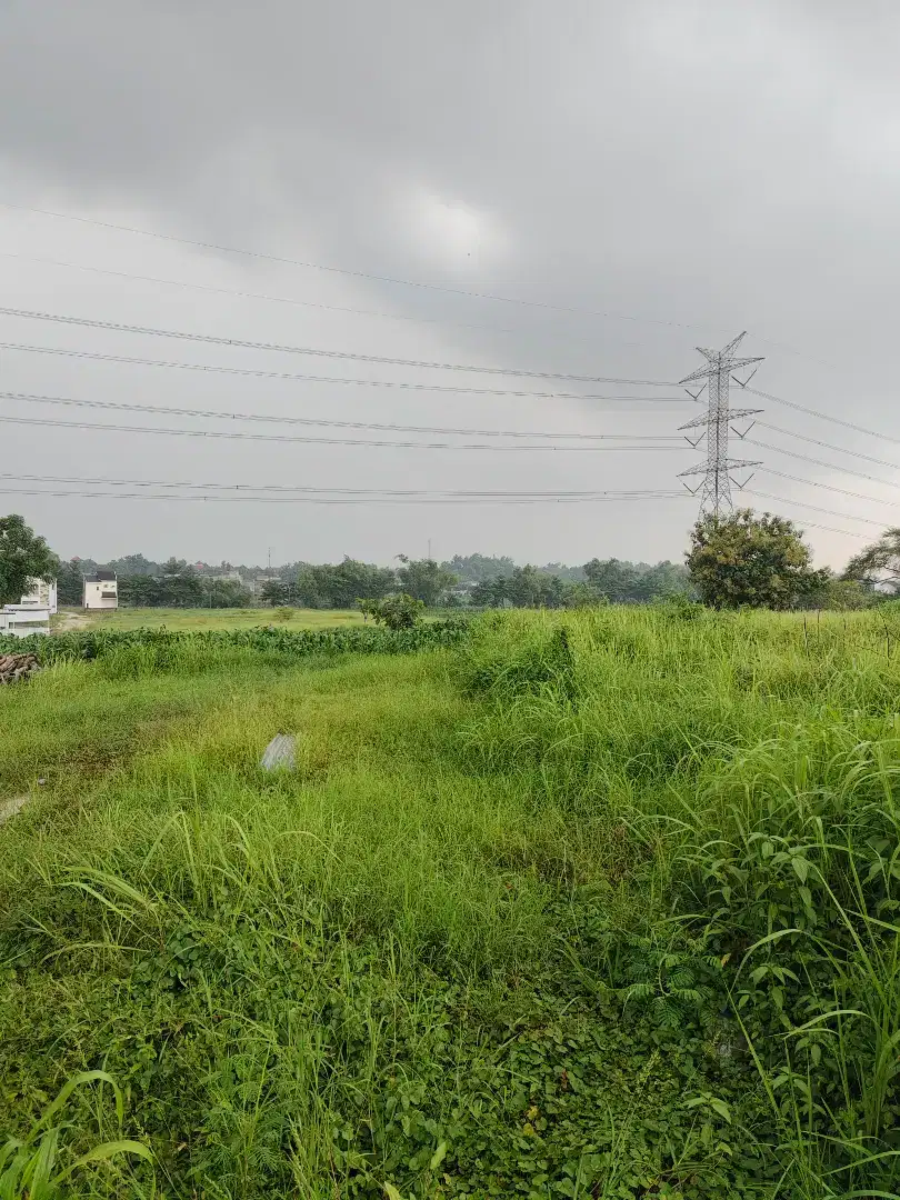 Jual Tanah Luas 2.078M Persegi di Driyorejo-Gresik