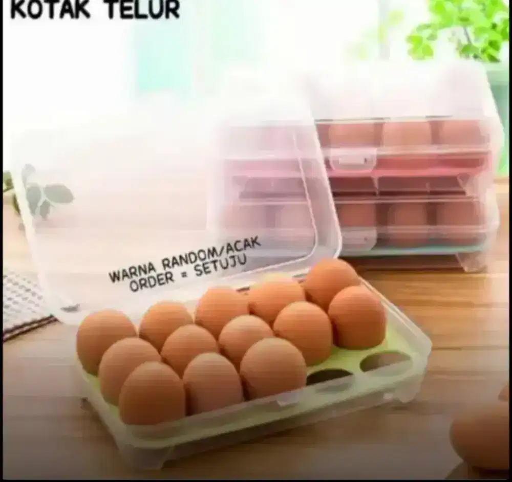 Box Telur 15 Plong