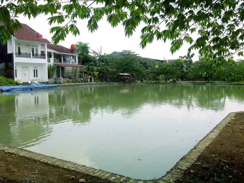 Dijual Cepat Tanah + Rumah Tapak Dramaga Bogor (SHM)