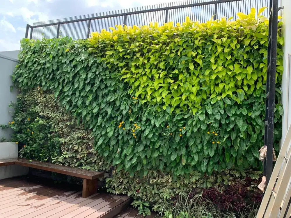 Tukang Taman - Vertical Garden