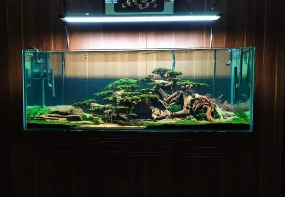 Aquarium aquascape ikan