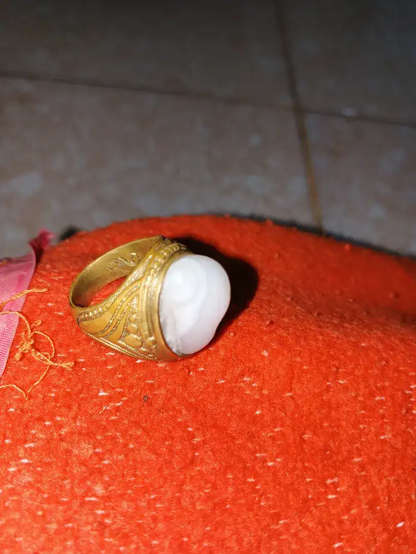 Fosil keong laut