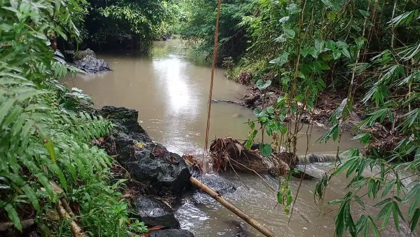 Jual tanah luas kecil view sawah los sungai di tabanan bali